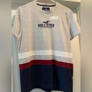 Hollister adult small t shirt